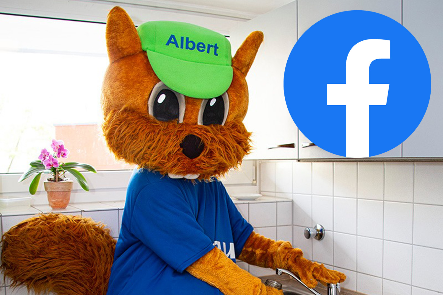 Alberts Facebookgruppe