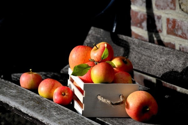 Apfelkisten verladen